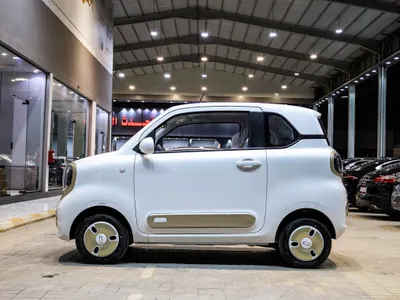 2025 فاو بيستون ميني إي في