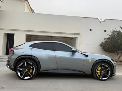 2025 فيراري بوروسانجوي