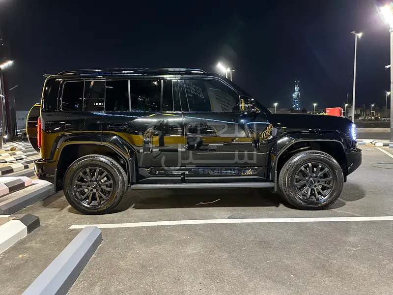 2025 بي واي دي ليوبارد 5