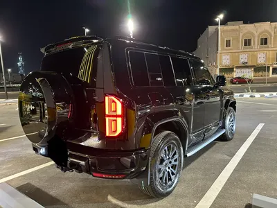 2025 بي واي دي ليوبارد 5