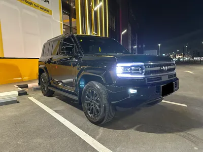 2025 بي واي دي ليوبارد 5