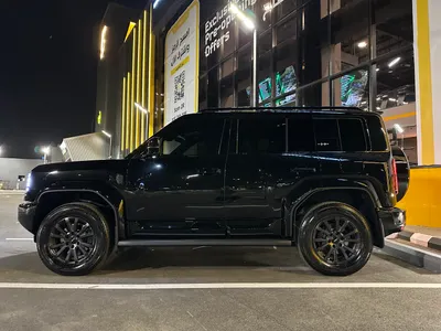 2025 بي واي دي ليوبارد 5