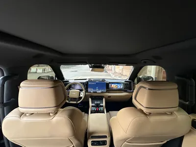 2025 بي واي دي ليوبارد 5