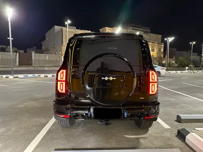 2025 بي واي دي ليوبارد 5