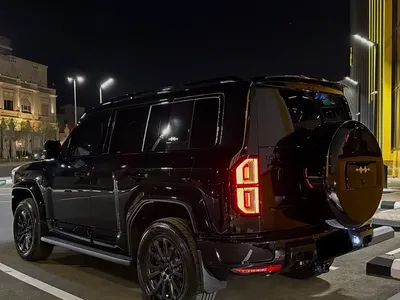 2025 بي واي دي ليوبارد 5