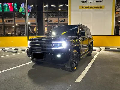 2025 بي واي دي ليوبارد 5