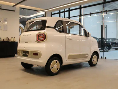 2025 فاو بيستون بي70