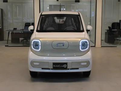 2025 فاو بيستون بي70