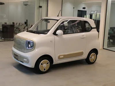 2025 فاو بيستون بي70