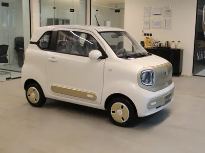 2025 فاو بيستون بي70