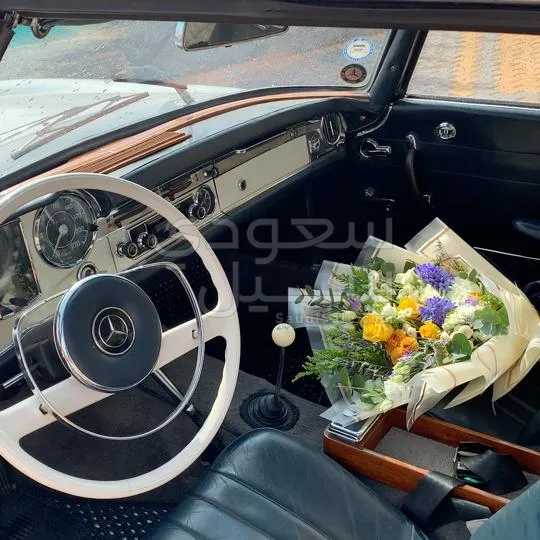 1965 مرسيدس - بنز إس إل 230