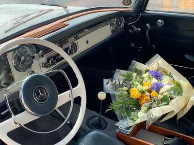 1965 مرسيدس - بنز إس إل 230