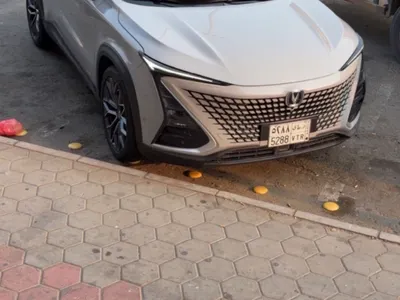 2024 Changan UNI-T standard