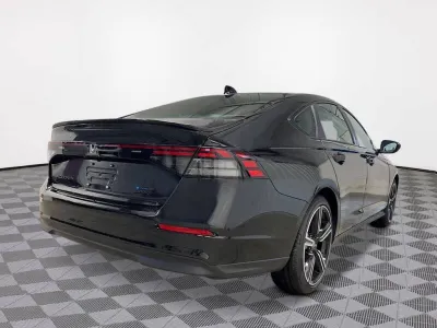 2026 هوندا اكورد في 6 سبورت