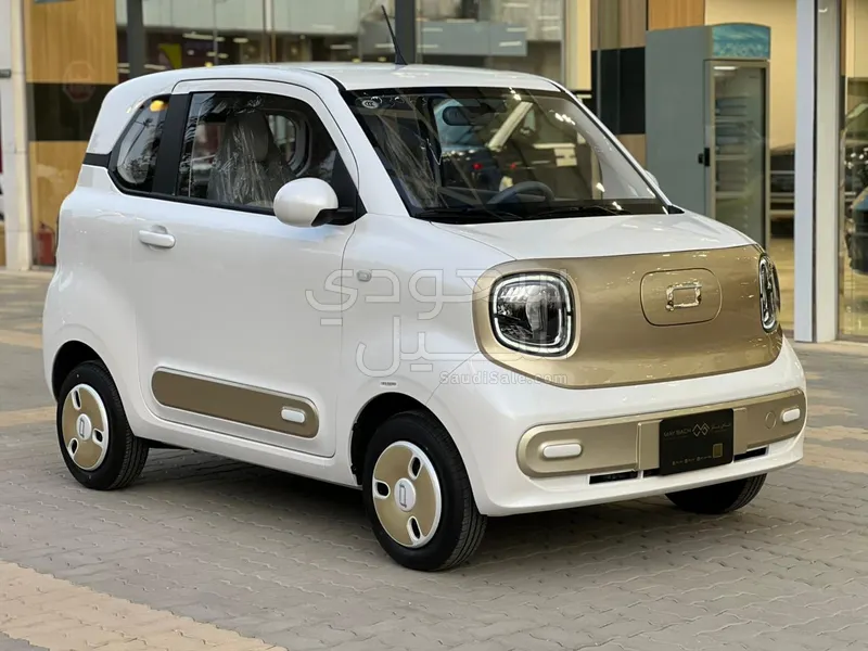 2025 فاو بيستون ميني إي في