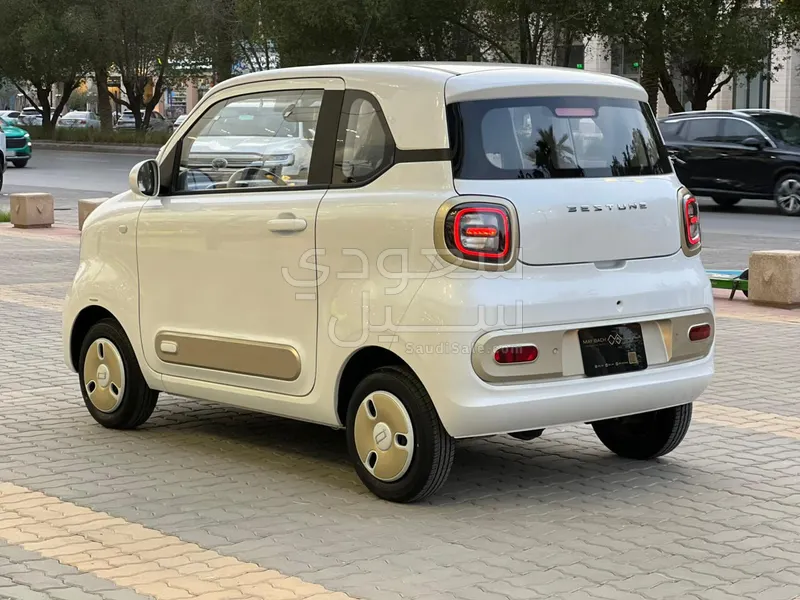 2025 فاو بيستون ميني إي في