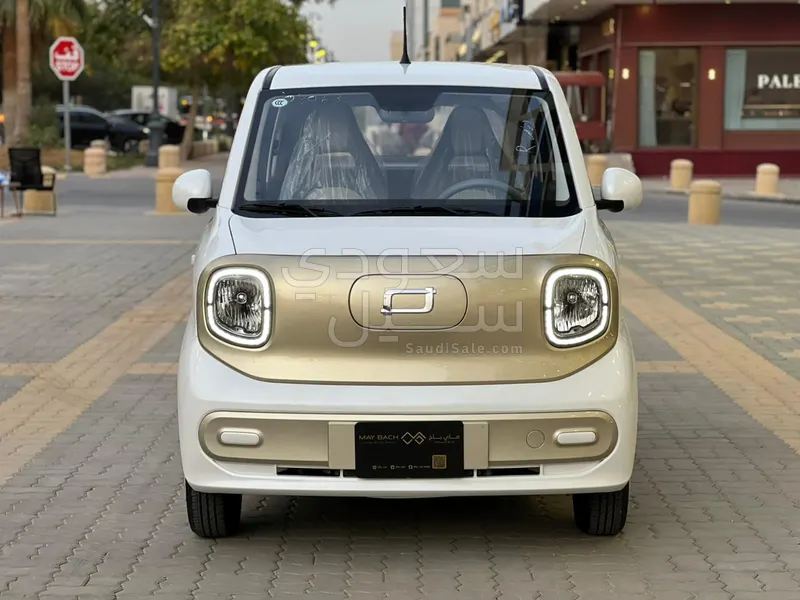 2025 فاو بيستون ميني إي في