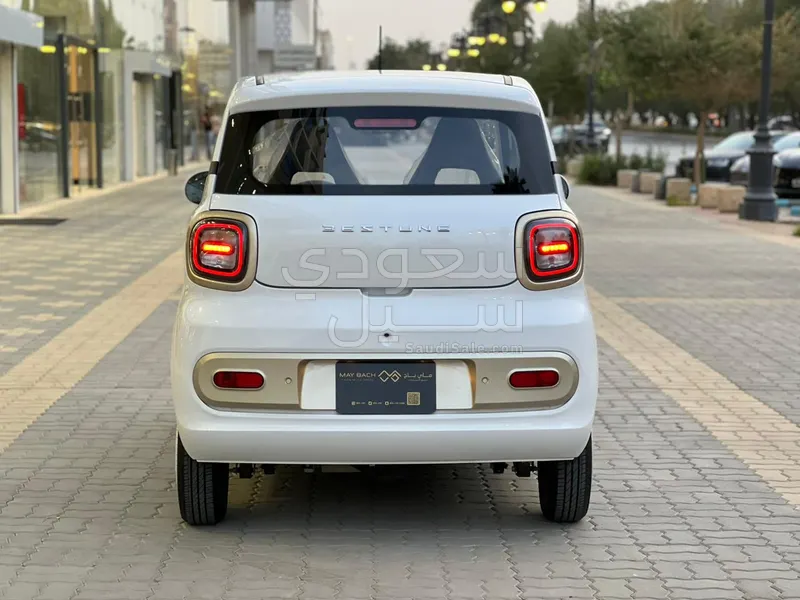 2025 فاو بيستون ميني إي في