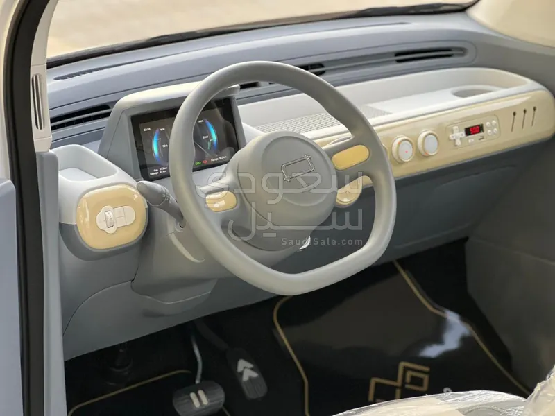 2025 فاو بيستون ميني إي في