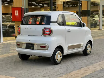 2025 فاو بيستون ميني إي في