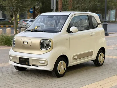 2025 فاو بيستون ميني إي في