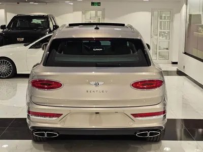 2024 بنتلي بنتايجا