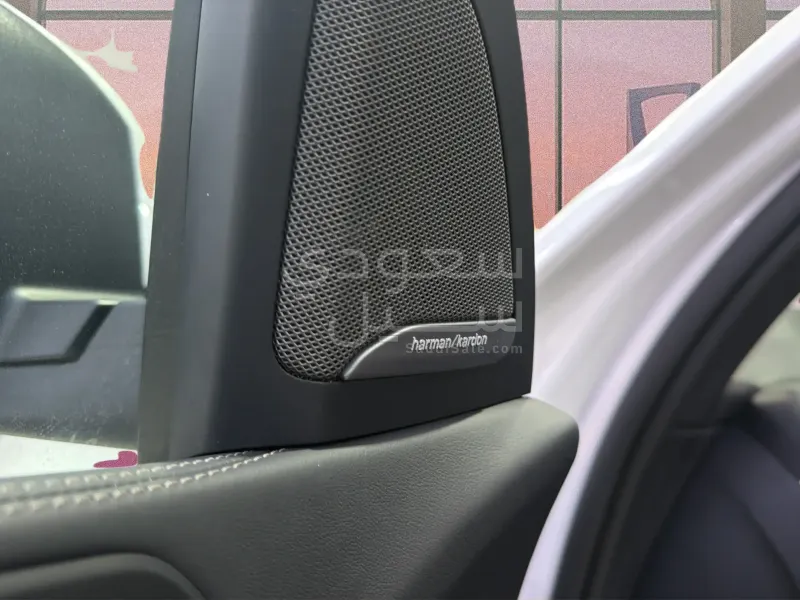 2025 بي ام دبليو الفئة اكس 7