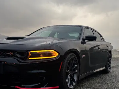 2023 دودج تشارجر اٍس ار تي 392 سكات باك