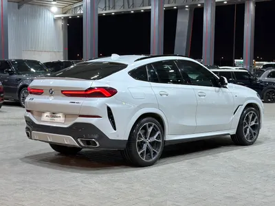 2023 بي ام دبليو الفئة اكس 6