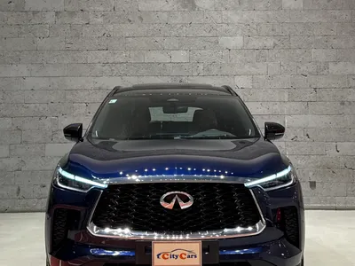 2022 انفينيتي كيو اكس 60