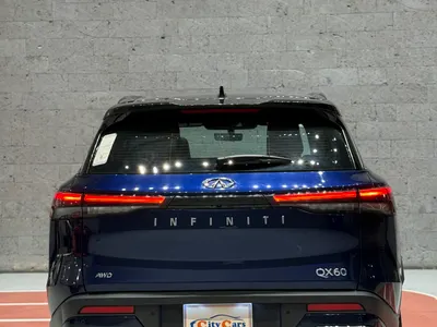 2022 انفينيتي كيو اكس 60