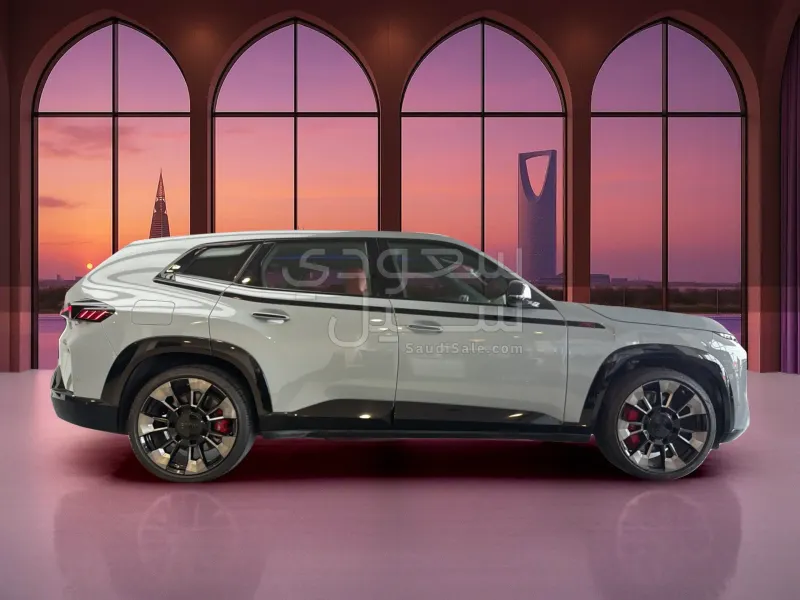 2024 BMW XM