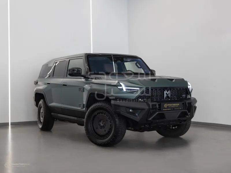 2025 دونج فينج 917 ام هيرو