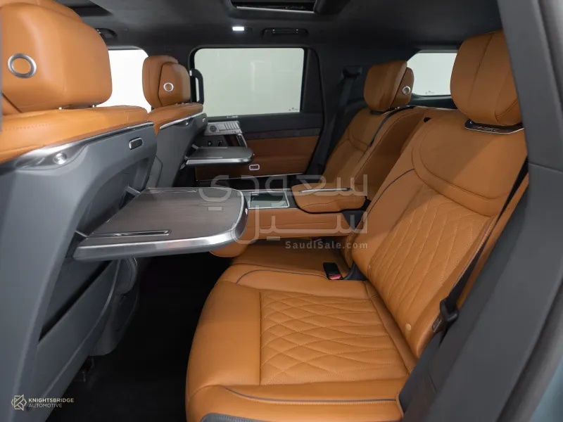 2025 دونج فينج 917 ام هيرو