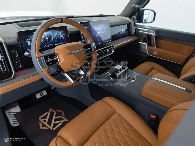 2025 دونج فينج 917 ام هيرو