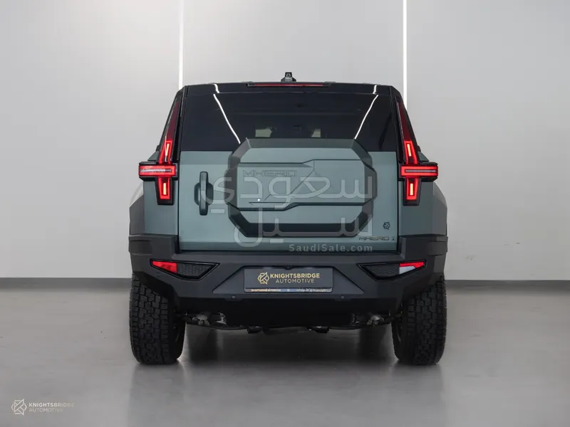 2025 دونج فينج 917 ام هيرو