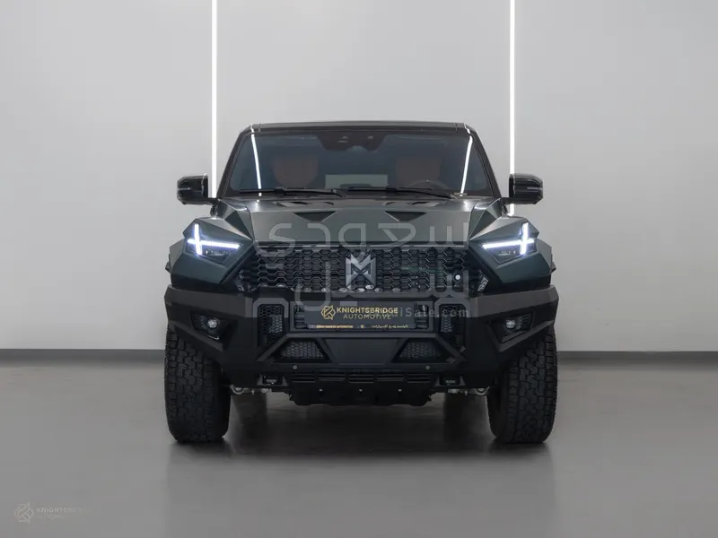 2025 دونج فينج 917 ام هيرو