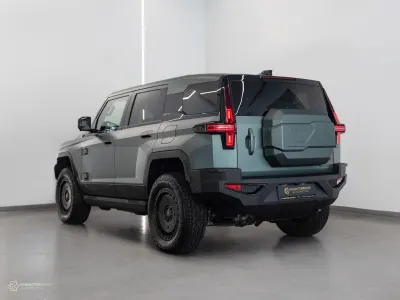 2025 دونج فينج 917 ام هيرو