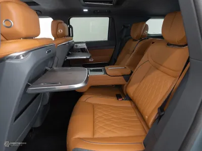 2025 دونج فينج 917 ام هيرو