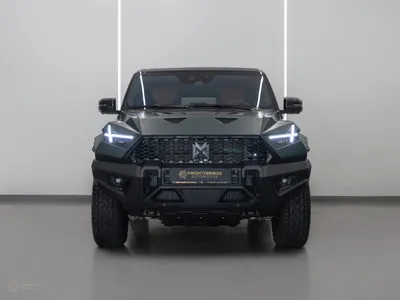 2025 دونج فينج 917 ام هيرو