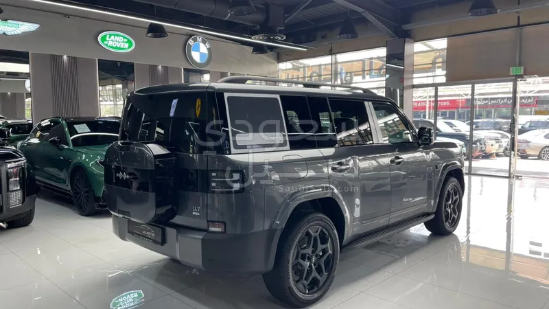 2025 بي واي دي ليوبارد 7