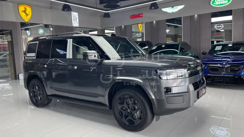 2025 بي واي دي ليوبارد 7