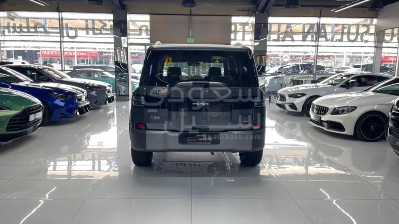 2025 بي واي دي ليوبارد 7