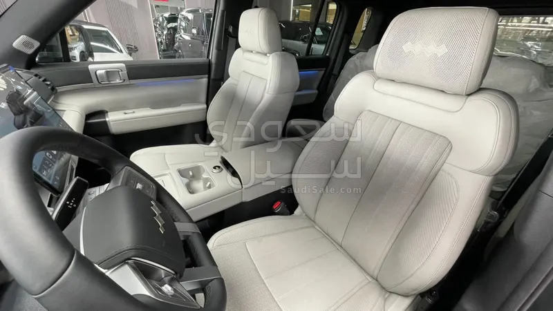 2025 بي واي دي ليوبارد 7