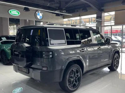 2025 بي واي دي ليوبارد 7