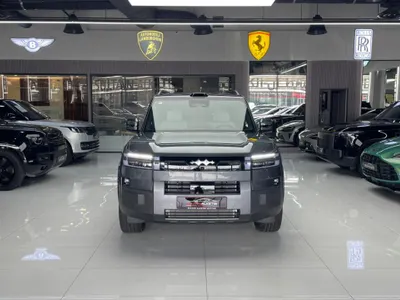 2025 بي واي دي ليوبارد 7