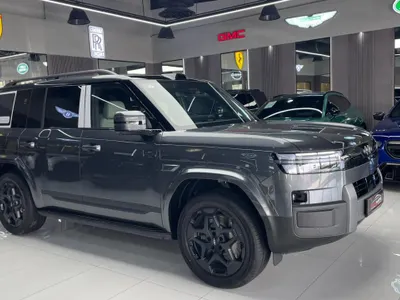 2025 بي واي دي ليوبارد 7