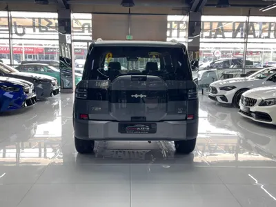 2025 بي واي دي ليوبارد 7