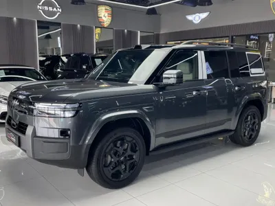 2025 بي واي دي ليوبارد 7