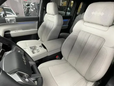 2025 بي واي دي ليوبارد 7